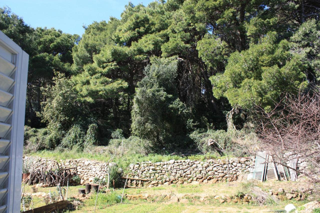 Pine Tree Apartment Ragusa Esterno foto